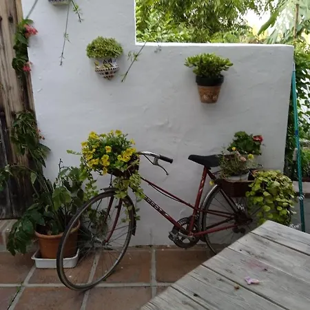 Rancho El Abuelo *