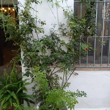 Guest house Rancho El Abuelo